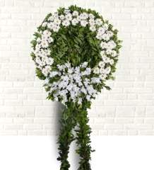 Beyaz Gerbera Cenaze Çelengi